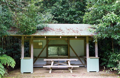 Coachwood Picnic Area - Accommodation Broome 0