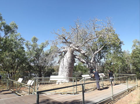 Gregory's Tree, Timber Creek - Accommodation Broome 0