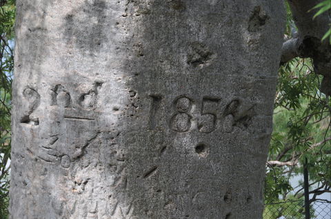 Gregory's Tree, Timber Creek - Accommodation Broome 2