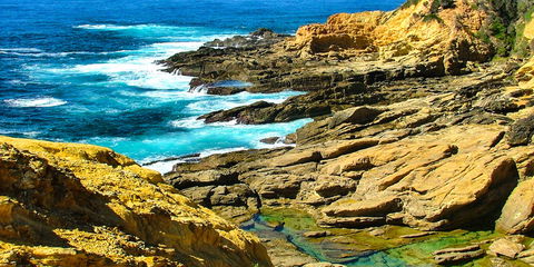 Gumnut Hideaway Gallery - Accommodation Broome 2