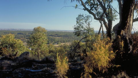 Heathcote-Graytown National Park - Accommodation Broome 0