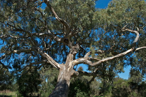 Holey Plains State Park - Accommodation Broome 0