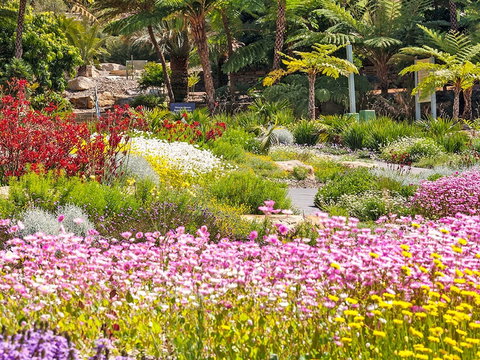 Jurassic Garden AR Experience - Accommodation Broome 0