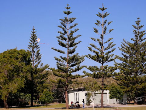 Kurrawa Park - Accommodation Broome 0