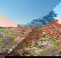 Lark Quarry Conservation Park - Accommodation Broome