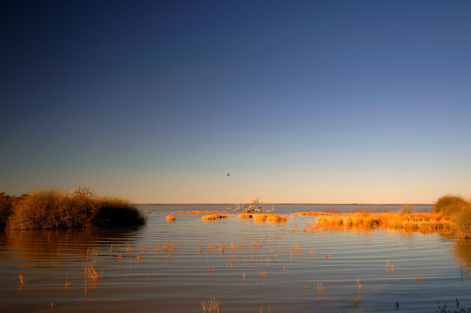  Accommodation Broome