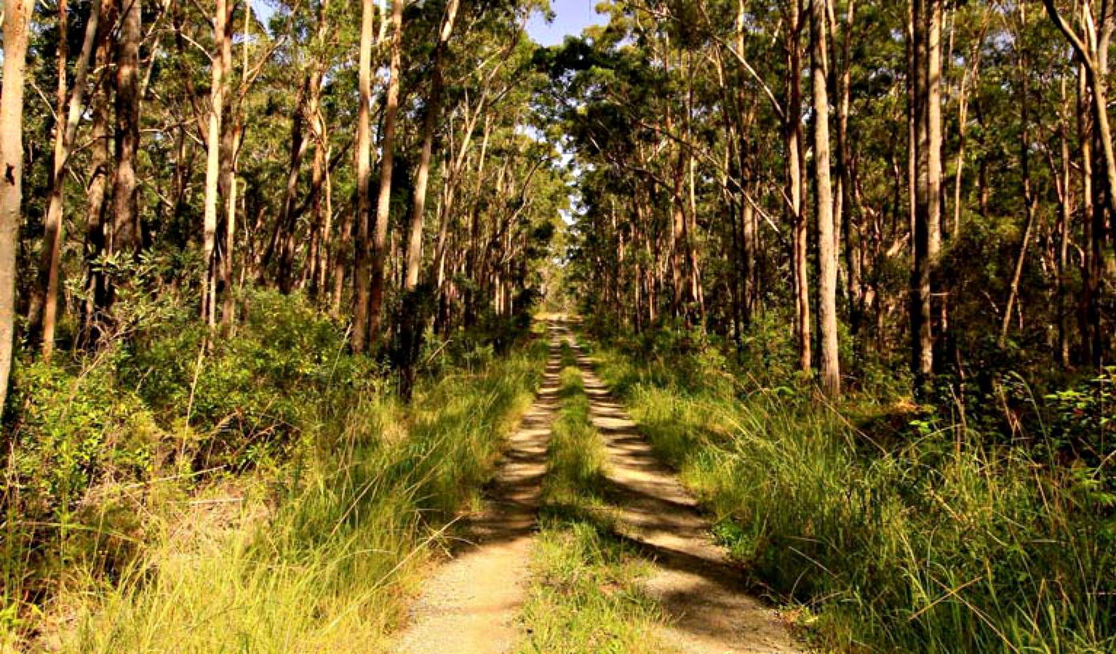 Yagon NSW Accommodation Broome