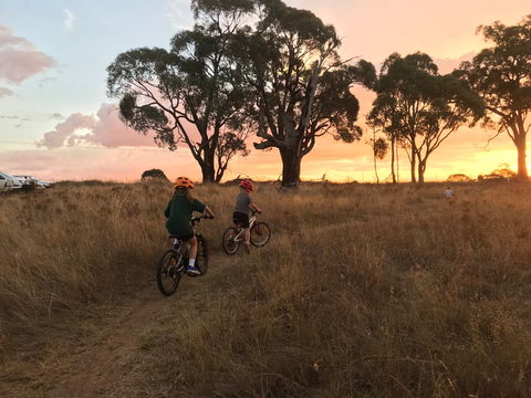 Mountain Bike Trails Tumbarumba - Accommodation Broome 2