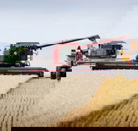 Mullaley - Accommodation Broome