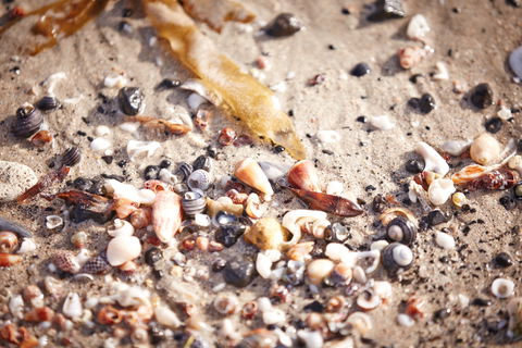 Mushroom Reef Beach - Accommodation Broome 1