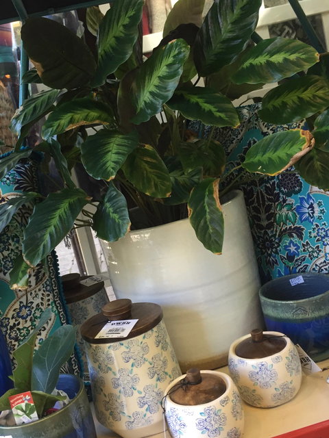 Noreen's Seaside Shop - Accommodation Broome 0