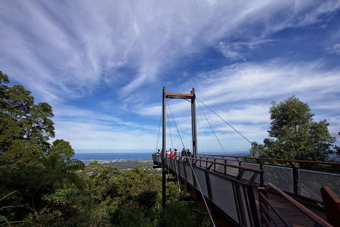Orara East State Forest - Accommodation Broome 0