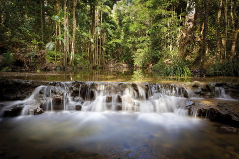 Orara East State Forest - Accommodation Broome 2