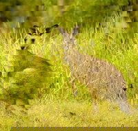 Perseverance - Accommodation Broome