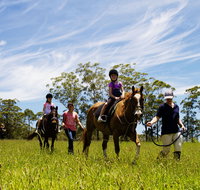 Port Macquarie Horse Riding Centre - Accommodation Broome