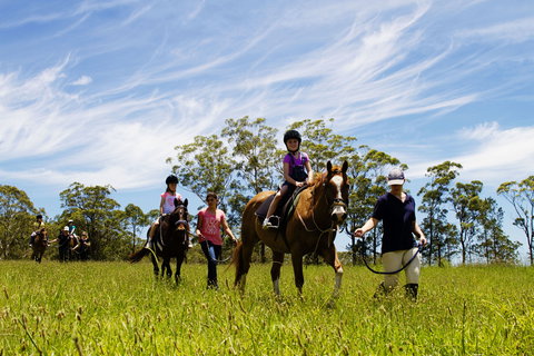 Port Macquarie Horse Riding Centre - Accommodation Broome 0