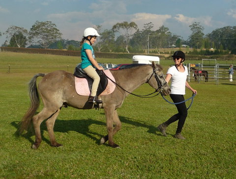 Port Macquarie Horse Riding Centre - Accommodation Broome 1