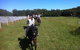 Port Macquarie Horse Riding Centre - thumb 2