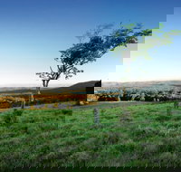 Ravensbourne National Park - Accommodation Broome