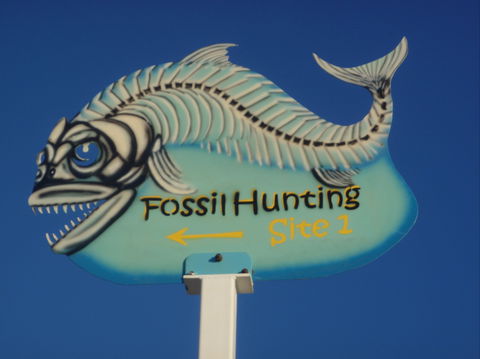 Richmond Fossil Hunting Sites - Accommodation Broome 1