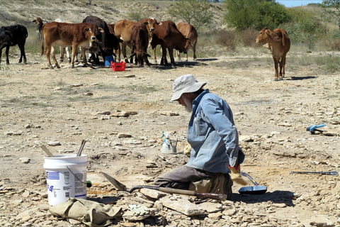 Richmond Fossil Hunting Sites - Accommodation Broome 2