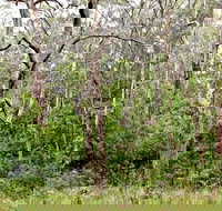 Scutts Hut Trail - Accommodation Broome