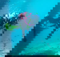 Shellharbour Scuba  and Photography Centre - Accommodation Broome