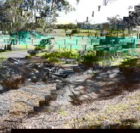 Tactical Paintball Games - Accommodation Broome