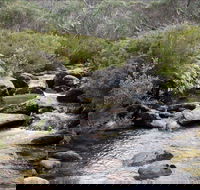 Thredbo River Track - Accommodation Broome