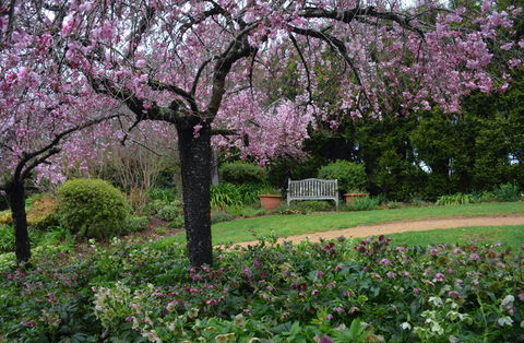 Wildwood Garden - Accommodation Broome 2