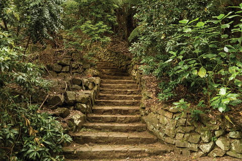William Ricketts Sanctuary - Accommodation Broome 1