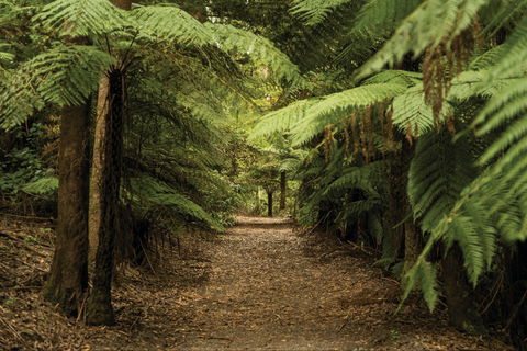 William Ricketts Sanctuary - Accommodation Broome 2