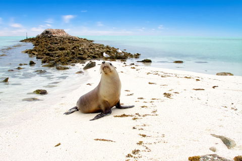 Abrolhos Islands - Accommodation Broome 0