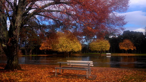 Bells Parade Reserve - Accommodation Broome 0