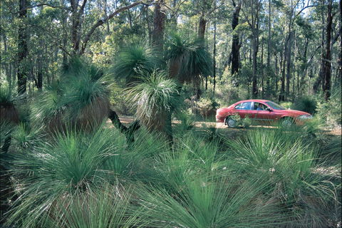 Blackwood River Tourist Drive - Accommodation Broome 2