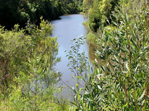 Blue Gum Hills Regional Park - Accommodation Broome 1