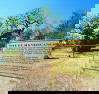 Boab Prison Tree - Accommodation Broome