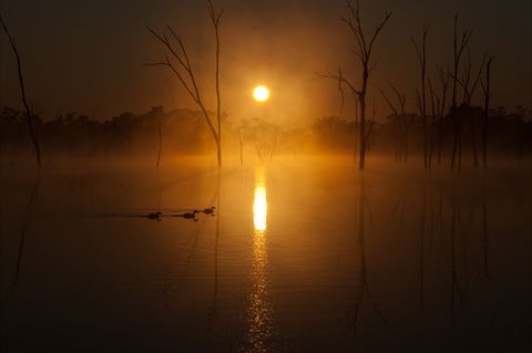 Boshack Outback - Accommodation Broome 1