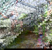 Cairns ZOOM and Wildlife Dome - Accommodation Broome