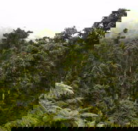 Cascade National Park - Accommodation Broome