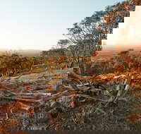 Chick Hill Walk - Accommodation Broome