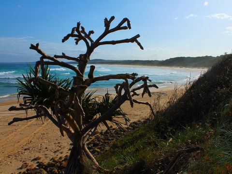 Clay Head - Accommodation Broome 2