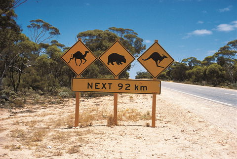 Eyre Highway - Accommodation Broome 1