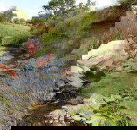 Gold Panning Deep Creek - Accommodation Broome
