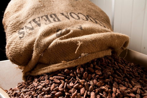 Haigh's Chocolates Visitor Centre - Accommodation Broome 2