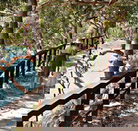 Harbour Bridge to The Spit Bridge Walking Track - Accommodation Broome