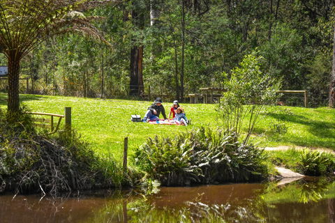 Kurth Kiln Regional Park - Accommodation Broome 1