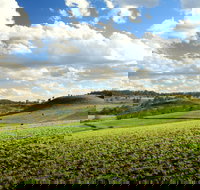 Lions Park Hodgson Vale - Accommodation Broome