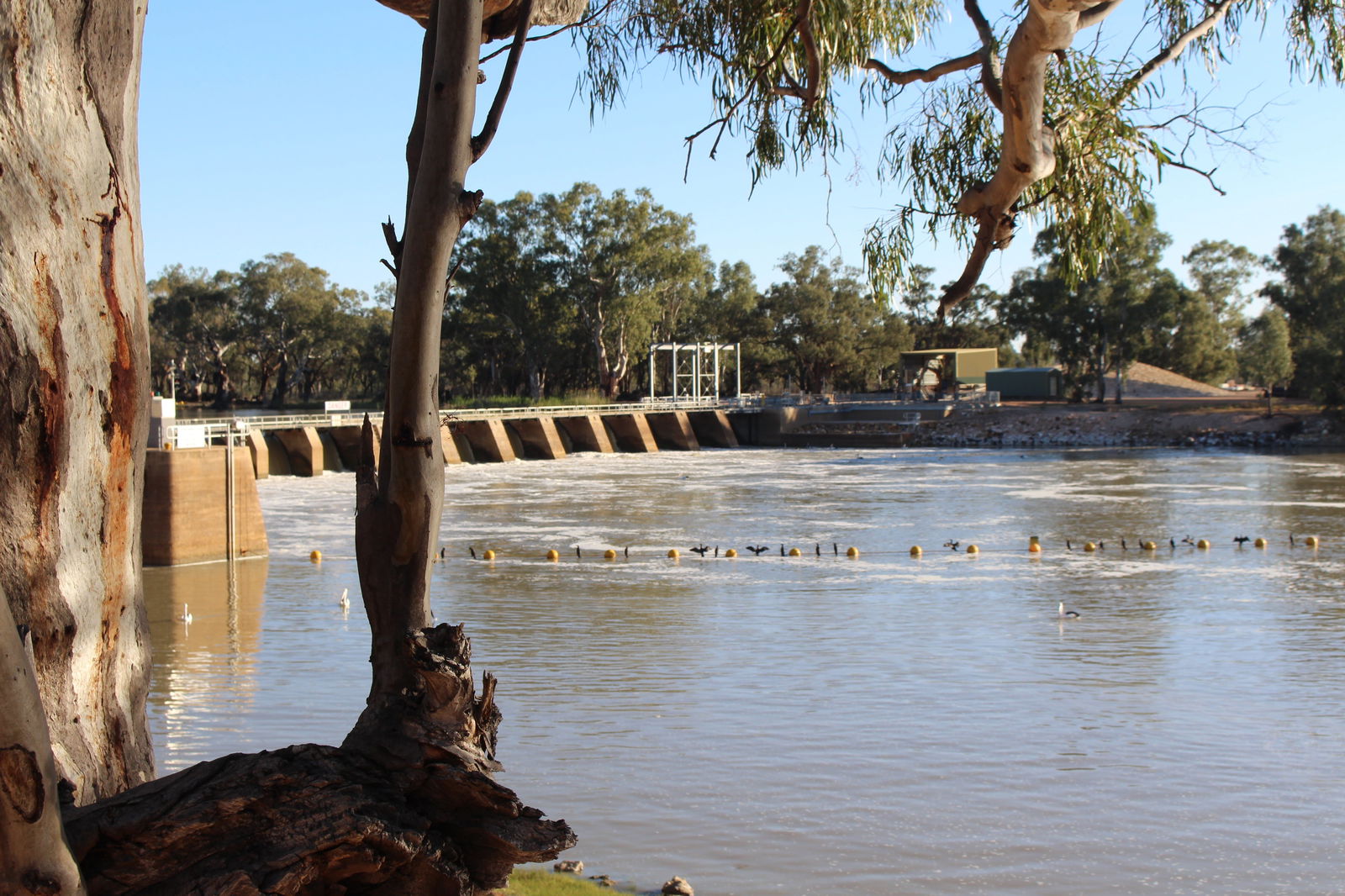 The Riverland And Murraylands SA Accommodation Broome