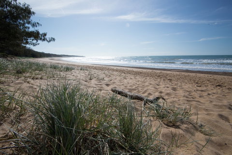 Mon Repos Beach - Accommodation Broome 1